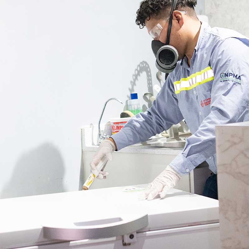 gel-hormiga-empresa-afsa