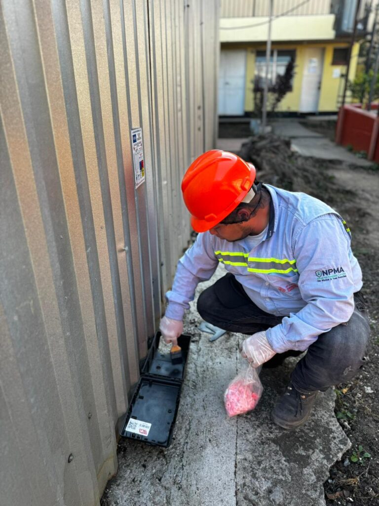 WhatsApp Image 2026-02-26 at 10.32.15 AM